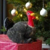Christmas Pet Toy Gobbles! -JELLY Home Gifts Shop 6634419 8050070 2 3 560 56323.1698408775
